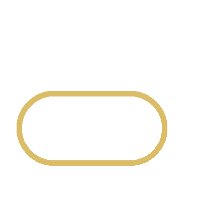 wired-outline-1459-old-shop-hover-pinch (1)